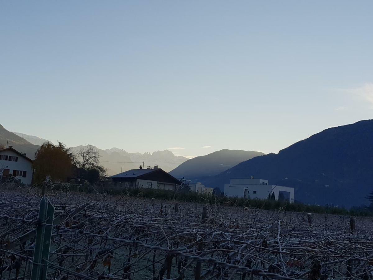 Domus Rose Rooms Bolzano Esterno foto
