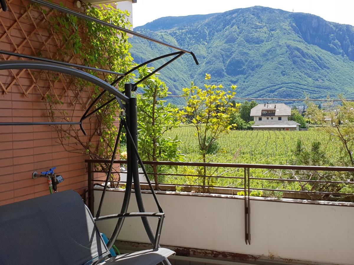 Domus Rose Rooms Bolzano Esterno foto