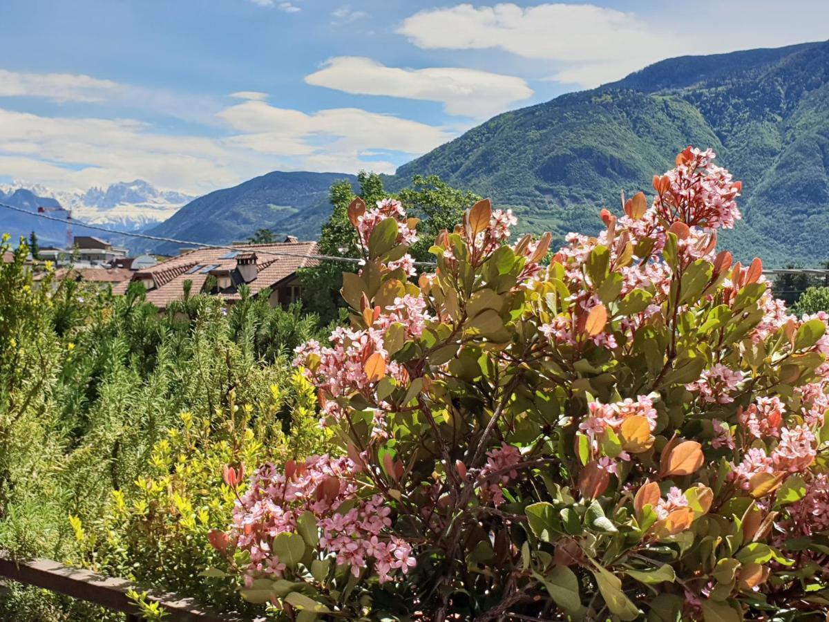 Domus Rose Rooms Bolzano Esterno foto
